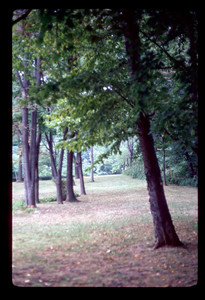 Slide155.jpg